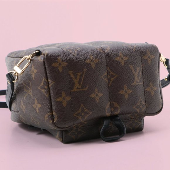 SOLD - Louis Vuitton Palm Springs Mini Backpack - Picture 5 of 11